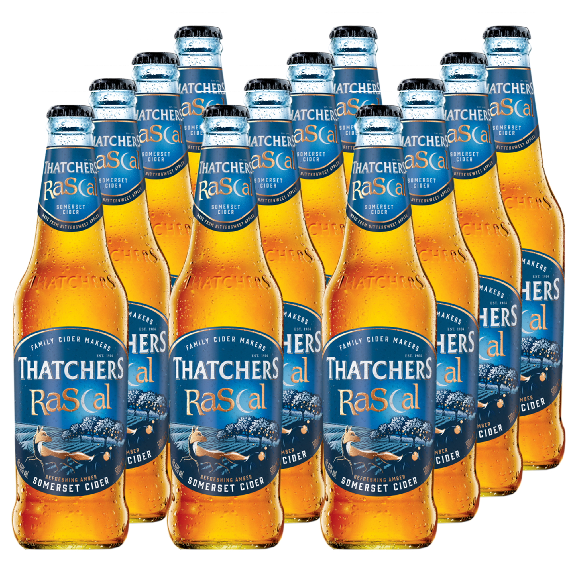 Thatchers Rascal Cider 12x500ml